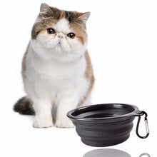 Water Dish Bowl Portable for Dog and Cat