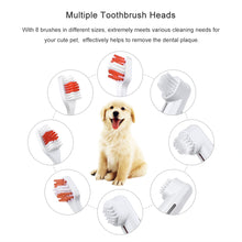 Dog Cat Cleaning Toothbrushes 6PCS